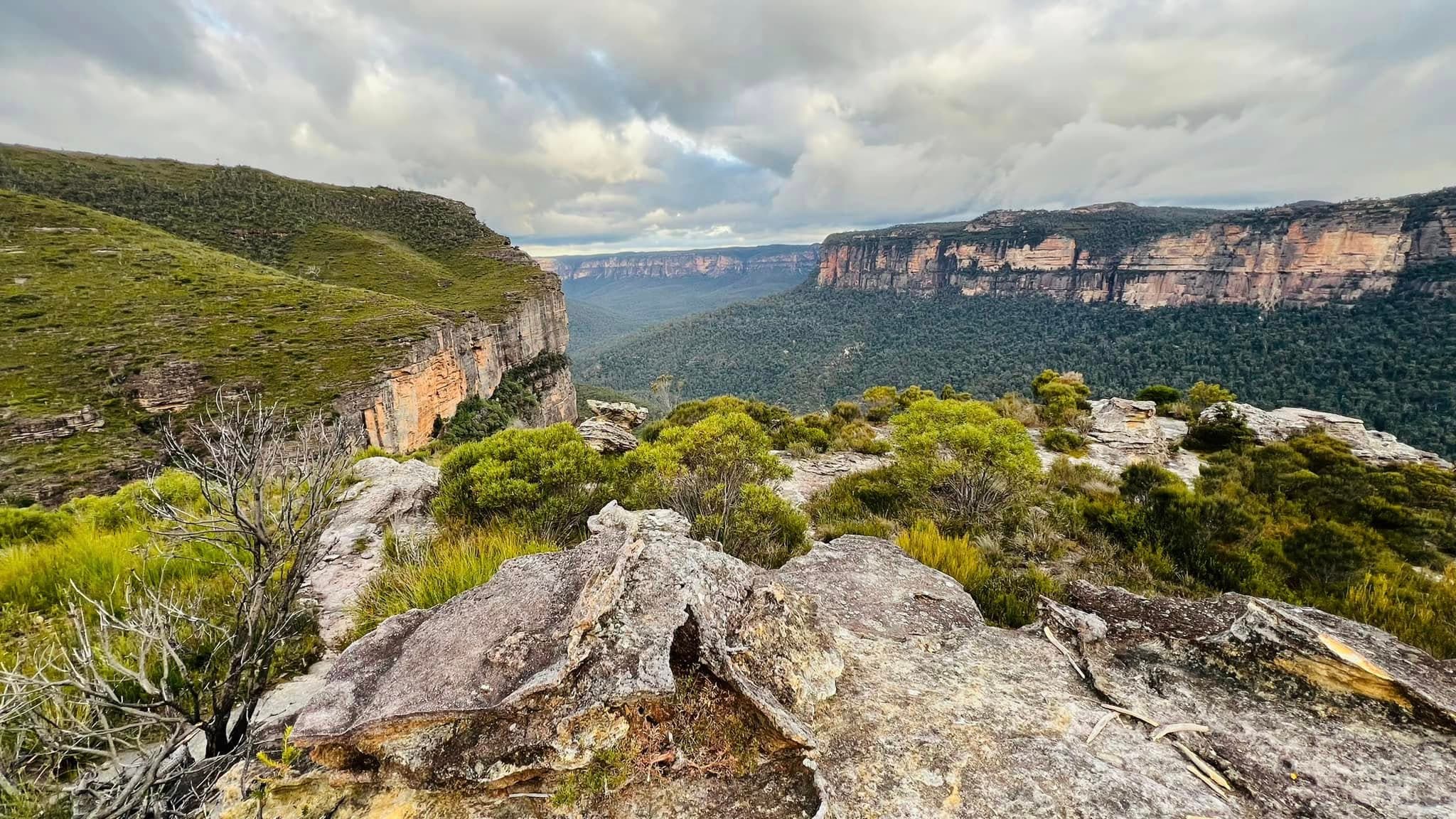 Walls lookout, Blue Mountains NSW — sandstone cliffs and eucalypt valley